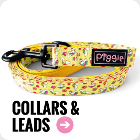 Collars and Leads