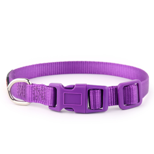 Essential Purple Dog Collar