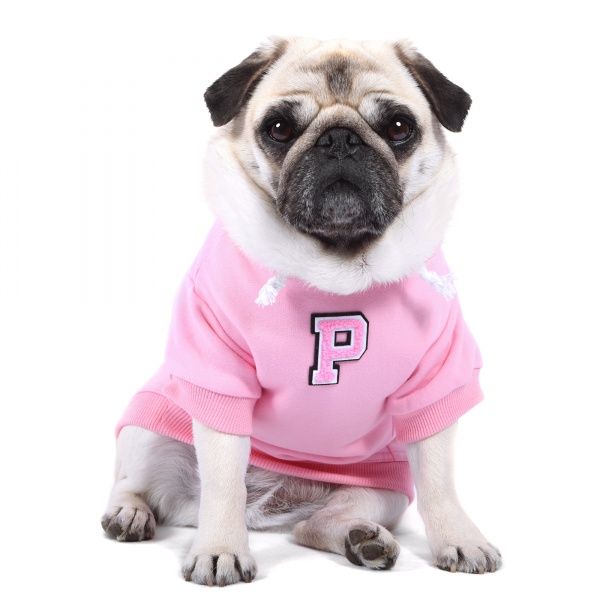 Personalised Pink Patch Dog Hoodie