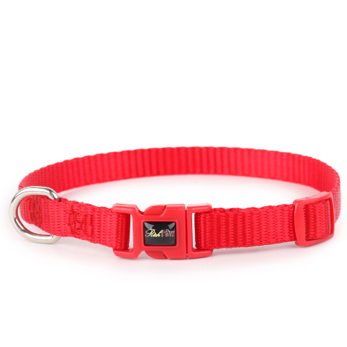 Essential Red Dog Collar