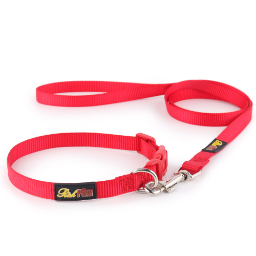 Essential Red Dog Collar