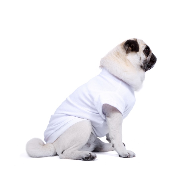White Dog T-Shirt