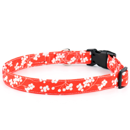 Red Canvas Dog Collar