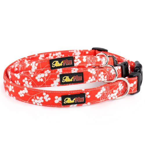 Red Canvas Dog Collar
