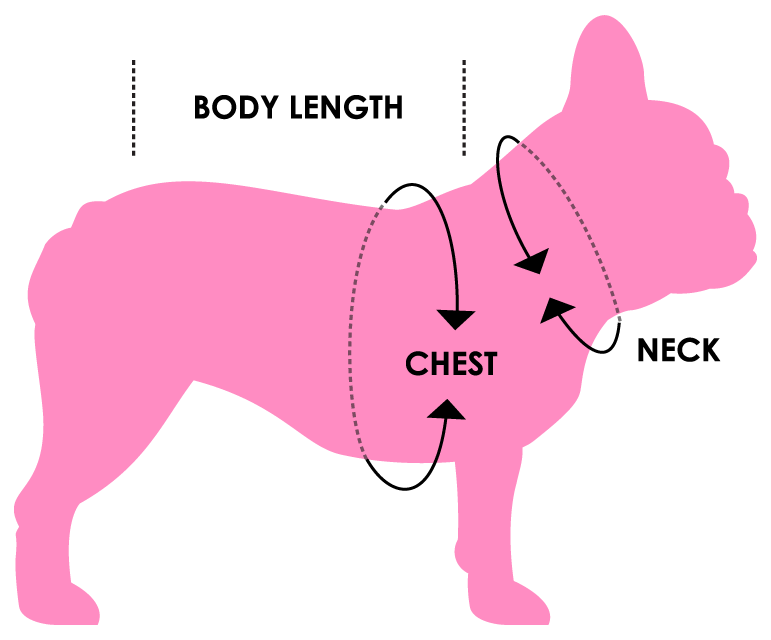 Melontastic Adjustable Dog Harness richpaw.co.uk/