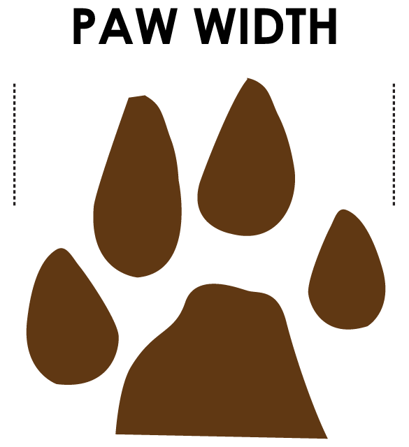 dog socks size guide