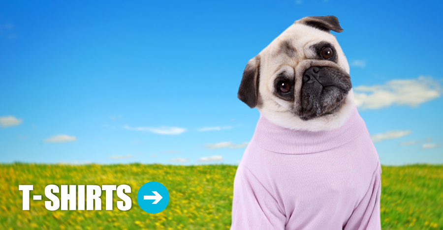 setting up gerbil cage