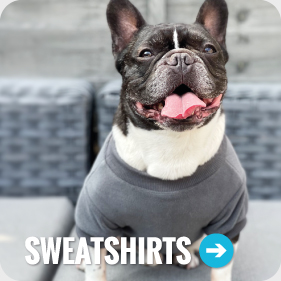 Dog Sweatshirts