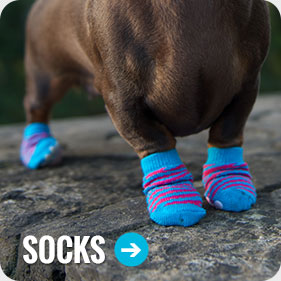 RichPaw Dog Socks