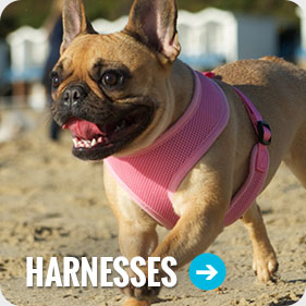 Dog Harnesses