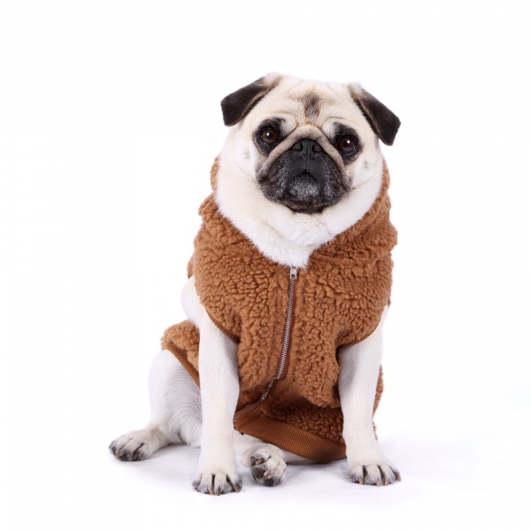 Caramel Sherpa Dog Jacket