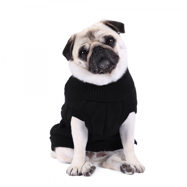 Black Cable Knit Dog Sweater