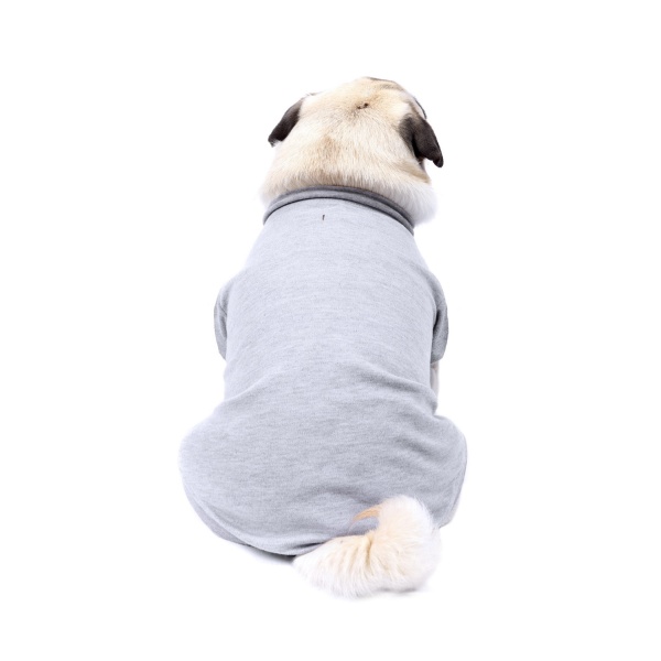 Grey Dog T-Shirt