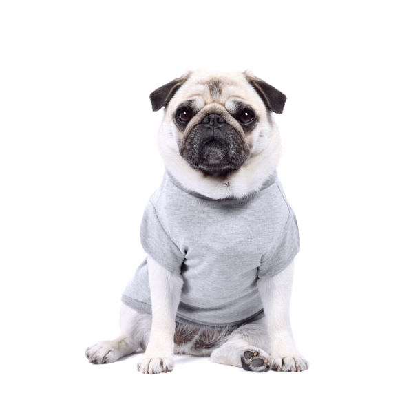 Grey Dog T-Shirt