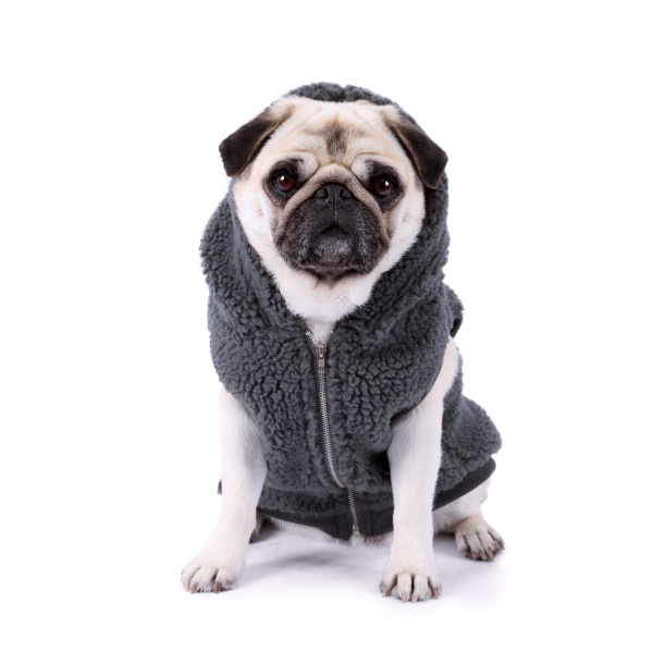 Grey Sherpa Dog Jacket