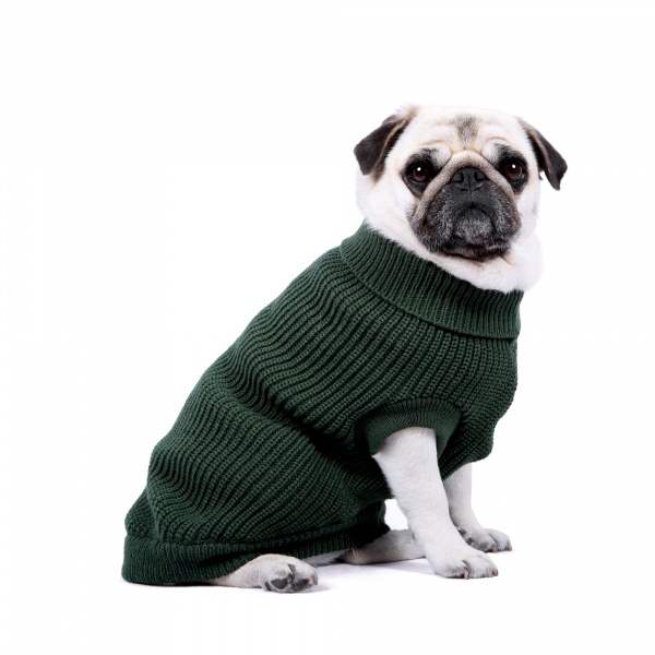 Rib Knit Dog Sweater - Hunter Green