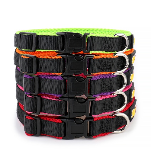 Green Nylon Mesh Dog Collar richpaw.co.uk/