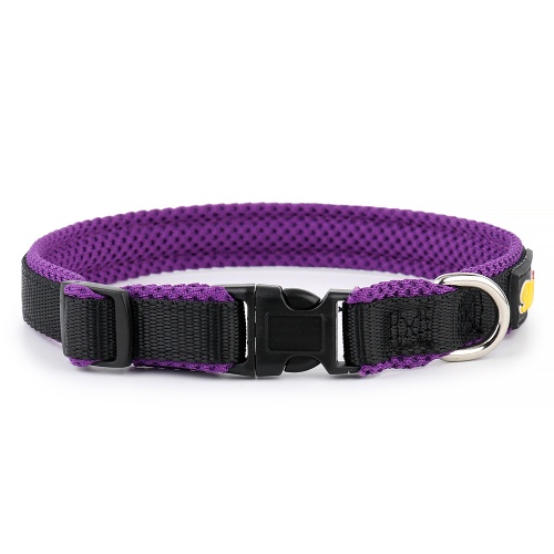 Purple Nylon Mesh Dog Collar