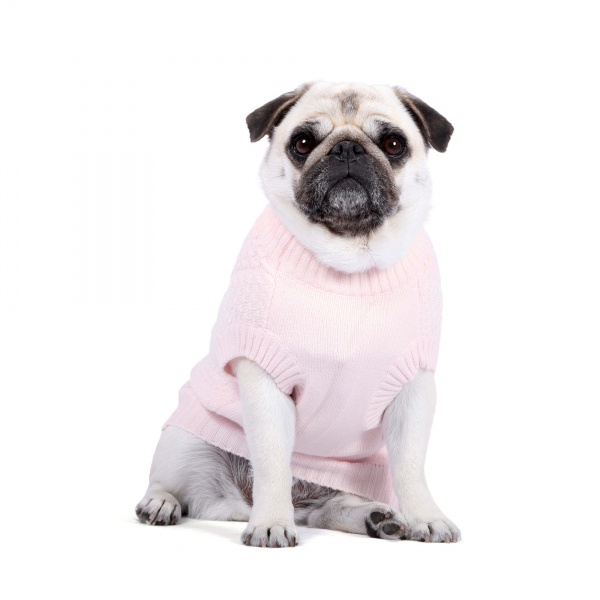 Cable Knit Dog Sweater - Marshmallow