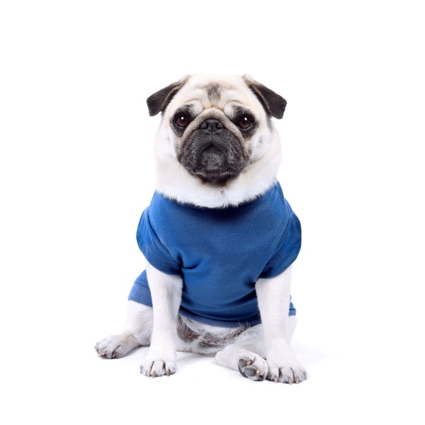 Prussian Blue Dog T-Shirt