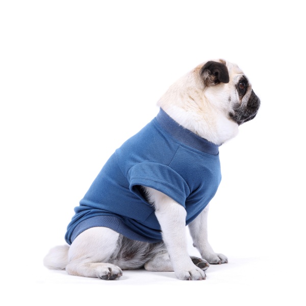 Prussian Blue Dog T-Shirt