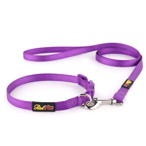 Essential Purple Dog Lead richpaw.co.uk/
