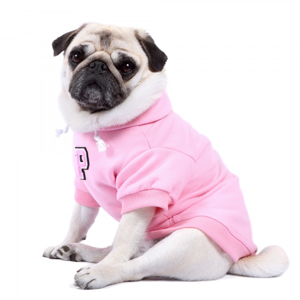 Personalised Pink Patch Dog Hoodie