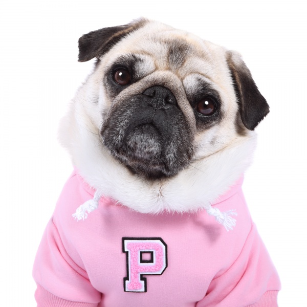 Personalised Pink Patch Dog Hoodie