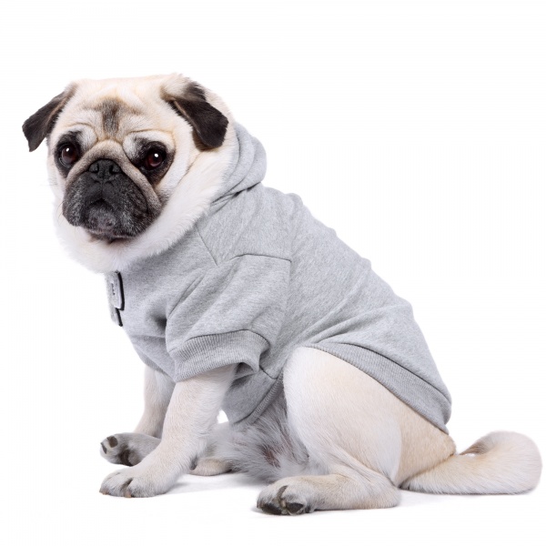 Personalised Grey Patch Dog Hoodie