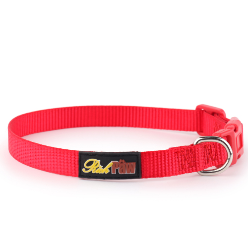 Essential Red Dog Collar