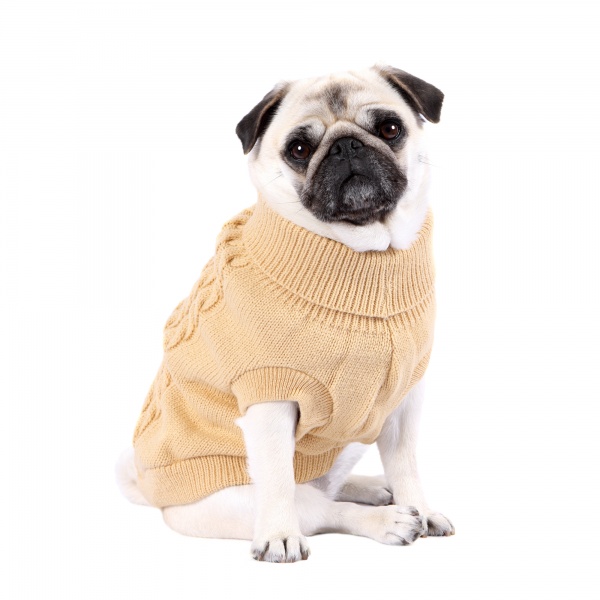 Stone Cable Knit Dog Sweater