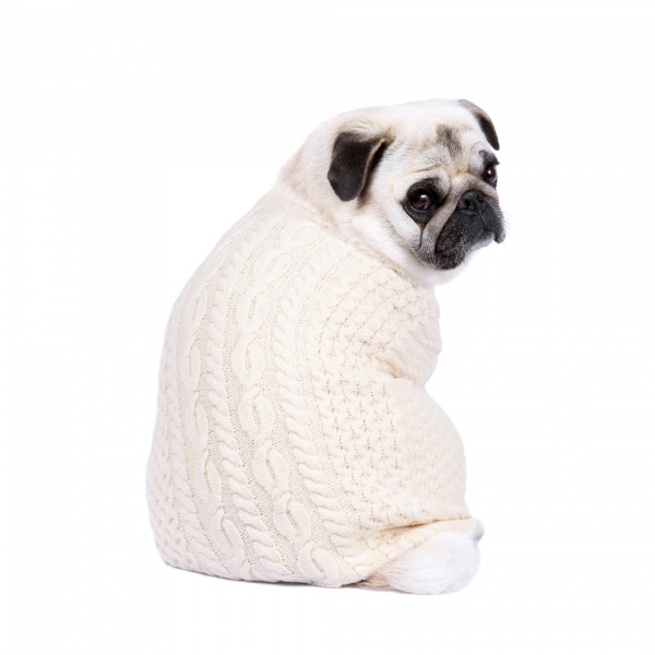 Cable Knit Dog Sweater - Vanilla