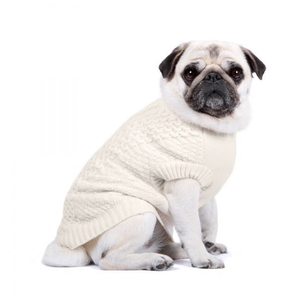 Cable Knit Dog Sweater - Vanilla