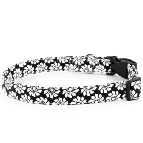 Black Canvas Dog Collar richpaw.co.uk/