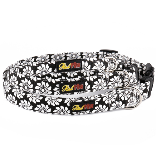 Black Canvas Dog Collar richpaw.co.uk/