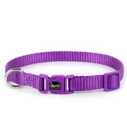 Essential Purple Dog Collar richpaw.co.uk/