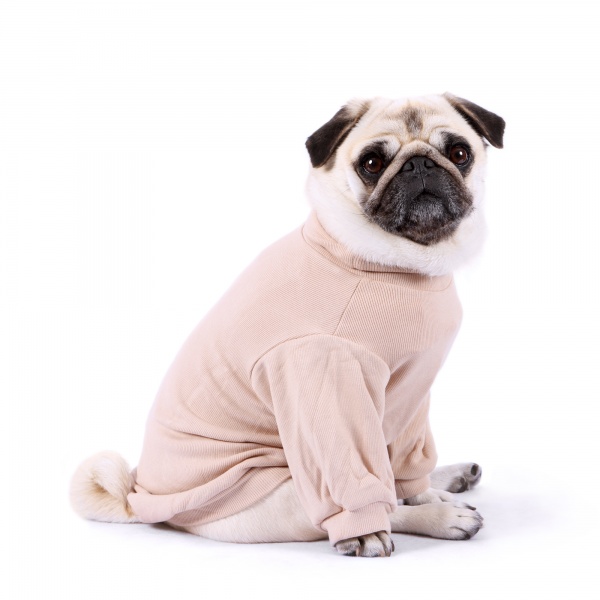 My Teo Nude Doggie Pullover