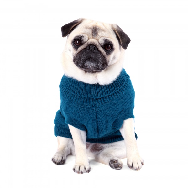 Teal Cable Knit Dog Sweater richpaw.co.uk/