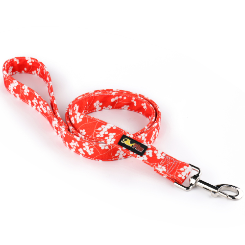 Red Canvas Dog Lead