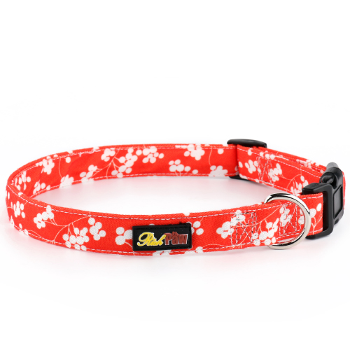 Red Canvas Dog Collar