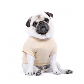 Beige Dog T-Shirt