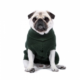Rib Knit Dog Sweater - Hunter Green
