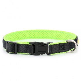 Green Nylon Mesh Dog Collar