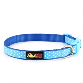 Blue Spotti Dog Collar